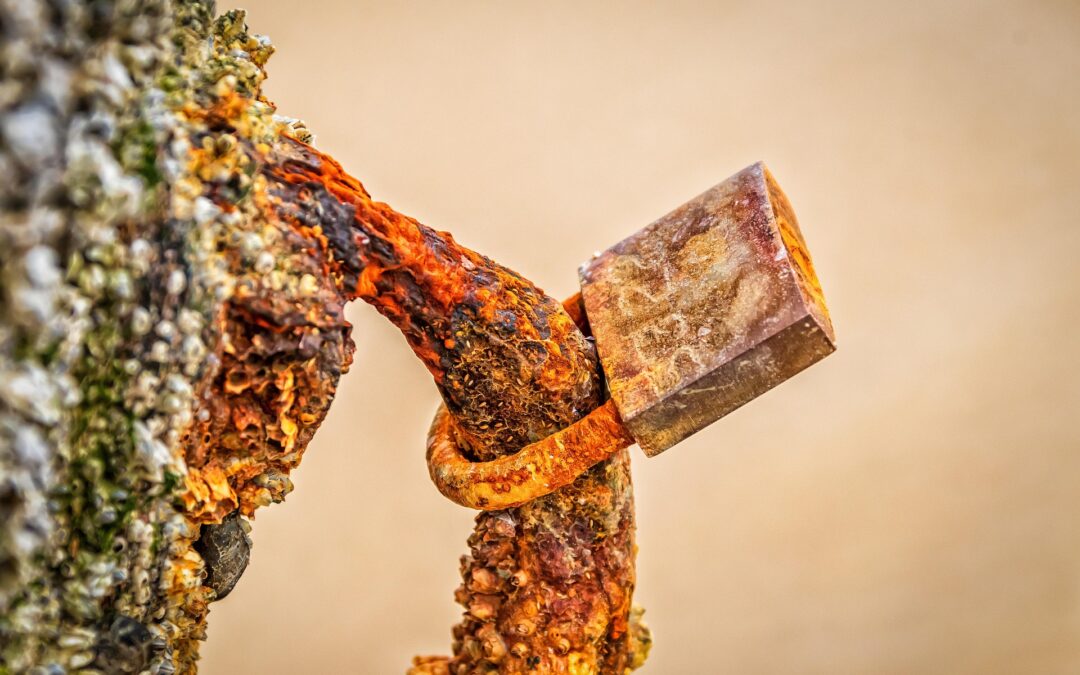 Marine Surface Treatment: Coatings, Corrosion Protection and Material Compatibility